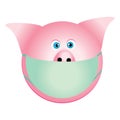 Pig with mask