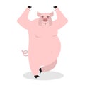 Pig meditating. Animal yoga. Farm animal on white background. Co