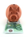 Pig money box Royalty Free Stock Photo