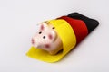 Pig money box and Germany flag Royalty Free Stock Photo