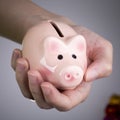 Pig money box in woman hand Royalty Free Stock Photo