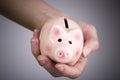 Pig money box in woman hand Royalty Free Stock Photo