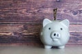 Pig money box on wooden wall background Royalty Free Stock Photo