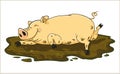 Pig in the mud Royalty Free Stock Photo