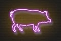 Pig, neon sign on brick wall