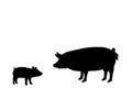 Pig piggie farm mammal black silhouette animal
