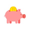 Pig piggy bank and bitcoin. Financial illustration. Accumulation