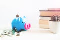 Pig piggy bank, coins, dollar, saving money concept on white background Royalty Free Stock Photo