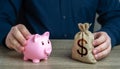 Pig piggy bank and dollar money bag. Deposits and savings. Royalty Free Stock Photo