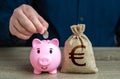 Pig piggy bank and euro money bag. Savings management.