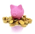 Pig piggy bank on gold coins with reflection