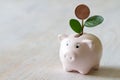 Pig piggy bank with green plant, concept increase in savings