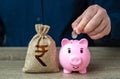 Pig piggy bank and indian rupee money bag. Banks and finance.