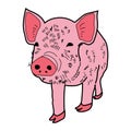 Pig Piggy boar icon cartoon design abstract illustration animal