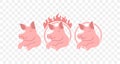 Pig, piggy, piglet, piggie, pigling, swine and farrow, graphic design Royalty Free Stock Photo