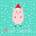 Pig piglet. Cute cartoon funny baby character. Hog swine sow animal. Merry Christmas. Santa hat. Chinise symbol of 2019 new year. Royalty Free Stock Photo