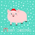 Pig piglet. Hog swine sow animal. Cute cartoon funny baby character. Merry Christmas. Santa hat. Chinise symbol of 2019 new year. Royalty Free Stock Photo