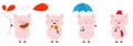 Pig piglet set. Balloon, watermelon, pumpkin halloween, umbrella, sock candy cane, Christmas Santa hat. Cute funny cartoon animal Royalty Free Stock Photo