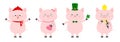 Pig piglet set. Winter hat, scarf, pink heart, Patrick clover, chicken, tulip. Cute funny cartoon animal character. Flat design