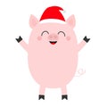 Pig piglet standing. Santa hat. Cute cartoon funny baby character. Chinise symbol of 2019 new year. Zodiac sign. Hog swine sow Royalty Free Stock Photo