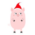 Pig piglet standing. Santa hat. Cute cartoon funny baby character. Hog swine sow animal. Chinise symbol of 2019 new year. Zodiac Royalty Free Stock Photo
