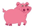 Pig pink