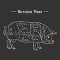 pig, pork cuts. template menu design for restaurant or cafe Royalty Free Stock Photo