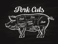 Pig, pork cuts. template menu design for restaurant, cafe