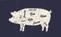 Pig, Pork meat chart. Butchery poster with pork meat cuts and paper craft texture.