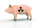 Pig with radioactive symbol on the skin