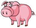 Pig with sad face Royalty Free Stock Photo