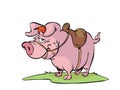 Pig with sadle Royalty Free Stock Photo