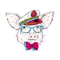 A pig in a sailor`s cap, glasses and a tie. Captain of the ship. Vector illustration.