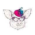 A pig in a sailor`s cap, glasses and a tie. Captain of the ship. Vector illustration.