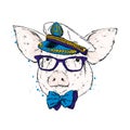 A pig in a sailor`s cap, glasses and a tie. Captain of the ship. Vector illustration.