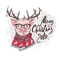 Pig in a Santa`s red costume and in a deer mask with a glasses. Marry Christmas - lettering quote. Christmas card