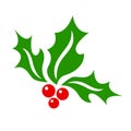 Christmas mistletoe vector icon.