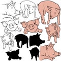 Pig Set