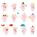 Pig set. Cute funny cartoon character. All seasons. Happy Valentines Christmas St Patrick day Easter Egg Bird Chicken Umbrella, ra