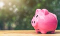 Pig-shaped piggy bank placed on the table, the concept of saving for investment. Royalty Free Stock Photo