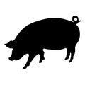 Pig silhouette