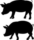 Pig silhouette - black vector illustration