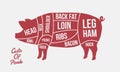 Cuts of Pork. Meat cuts. Pig silhouette isolated on white background. Vintage poster for meat,butcher shop.