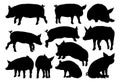 Pig Silhouettes Farm Animal Set