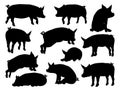 Pig Silhouettes Farm Animal Set