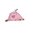 Pig sleeping Royalty Free Stock Photo