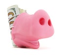 Pig Snout With Cash Royalty Free Stock Photo