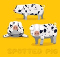 Pig Spotted Cartoon Vector Illustration