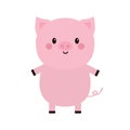 Pig standing icon. Smiling face, tail. Cute cartoon kawaii funny baby character. Hog swine sow animal. Flat design. Educational Royalty Free Stock Photo