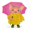 Pig Standing Under the Rain.Vector Illustration